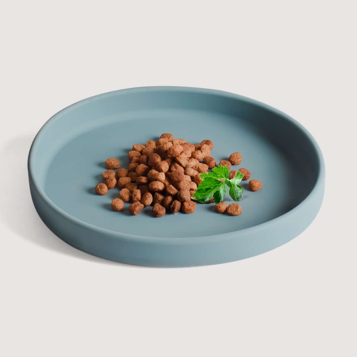 Gamelle plate en silicone