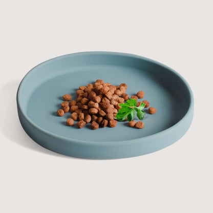 Gamelle plate en silicone