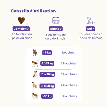 Complément alimentaire anti-stress pour chiens