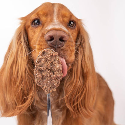 Pâté au canard frais avec patates douces et citrouille
