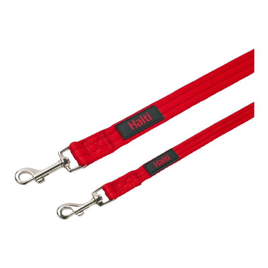 3-Position Dog Training Leash
