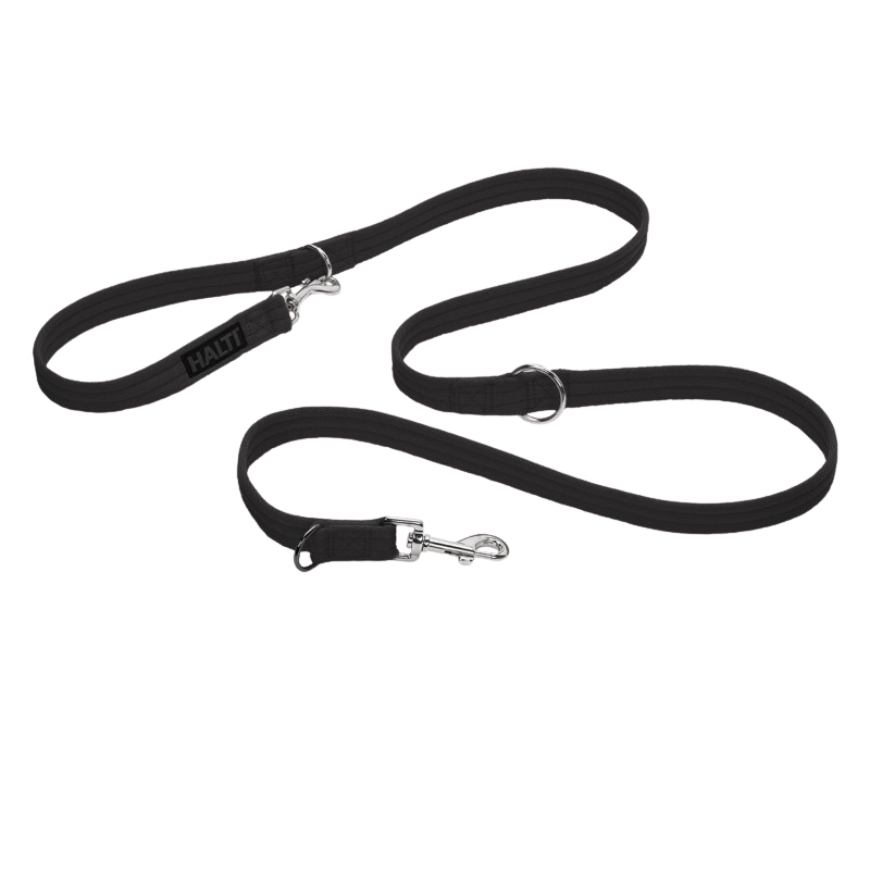 3-Position Dog Training Leash
