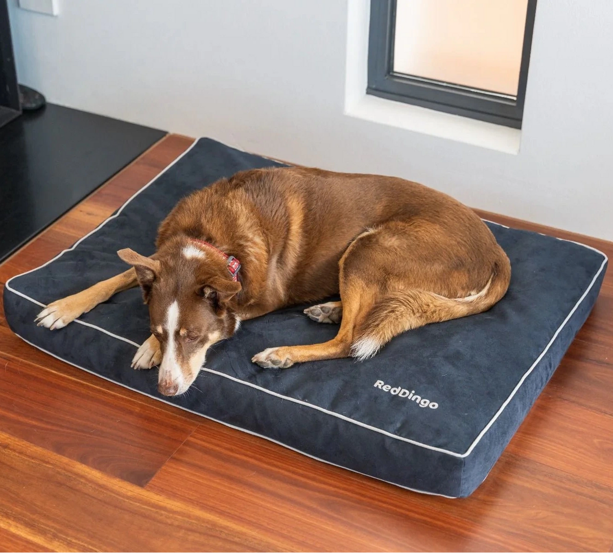Soft, removable dog bed