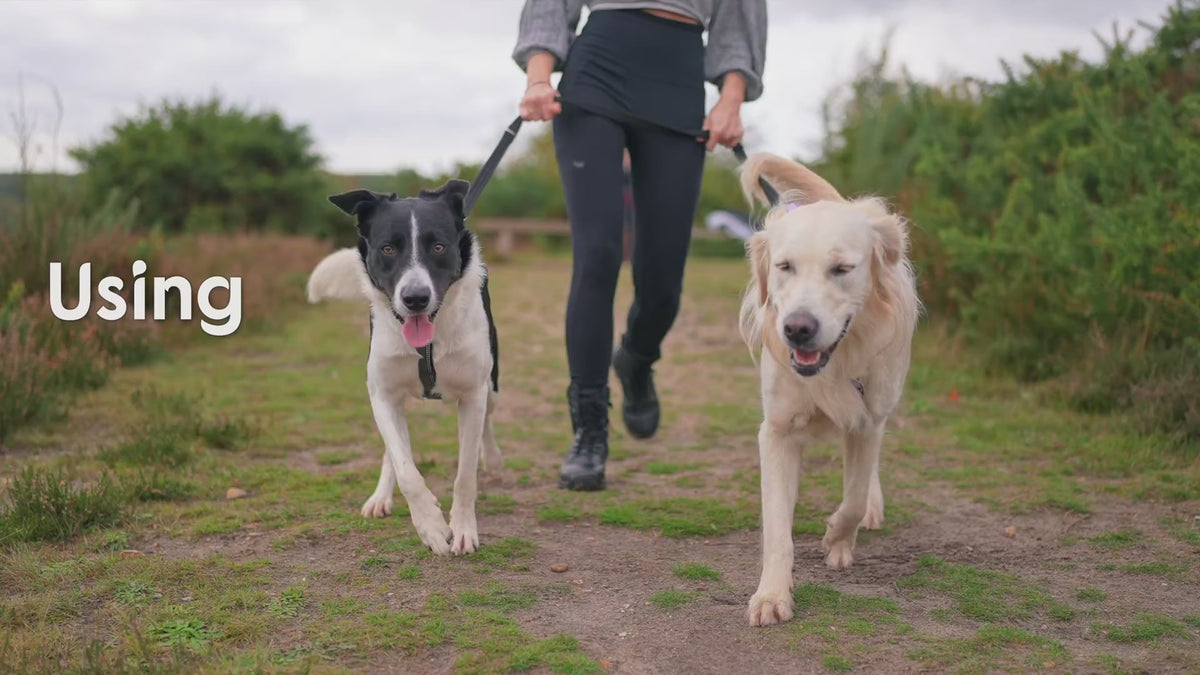 3-Position Dog Training Leash