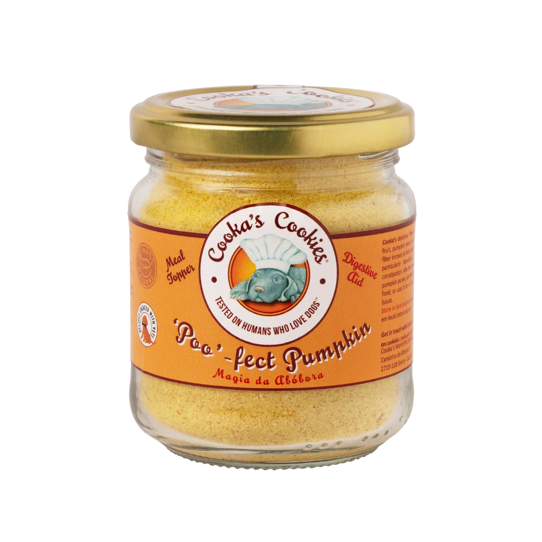 Pumpkin Topper for Dogs and Cats