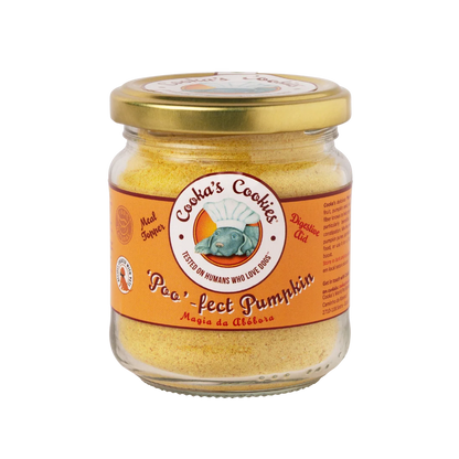 Pumpkin Topper for Dogs and Cats