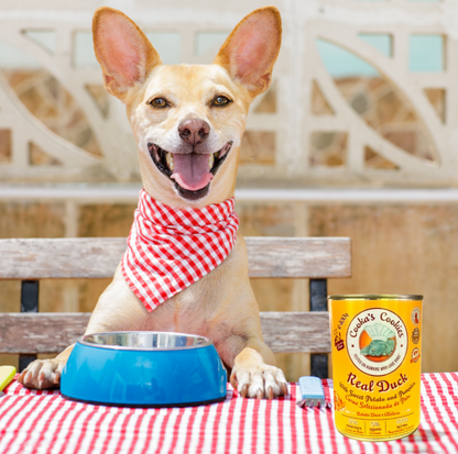 Pâté au canard frais avec patates douces et citrouille