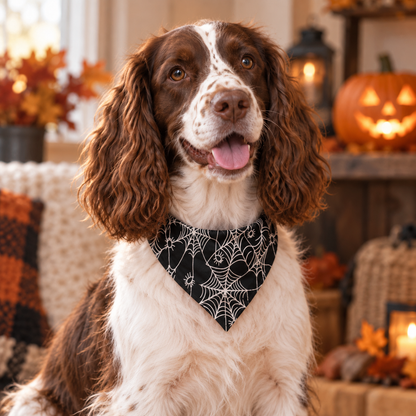 Bandana phosphorescent toiles d’araignées pour chiens