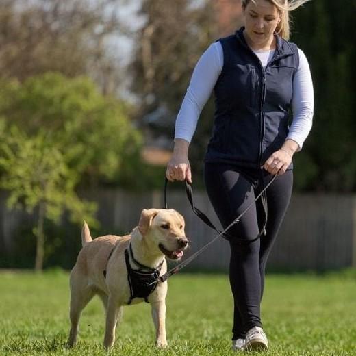 3-Position Dog Training Leash