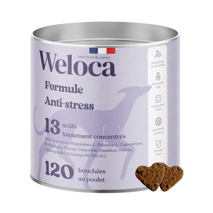 Complément alimentaire anti-stress pour chiens